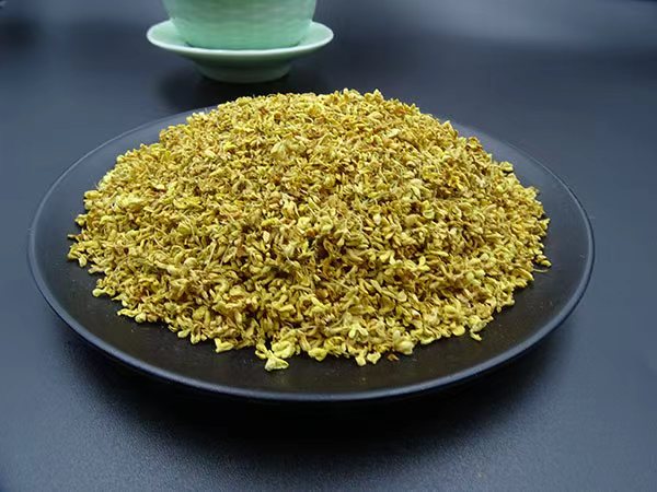 桂花Osmanthus fragrans